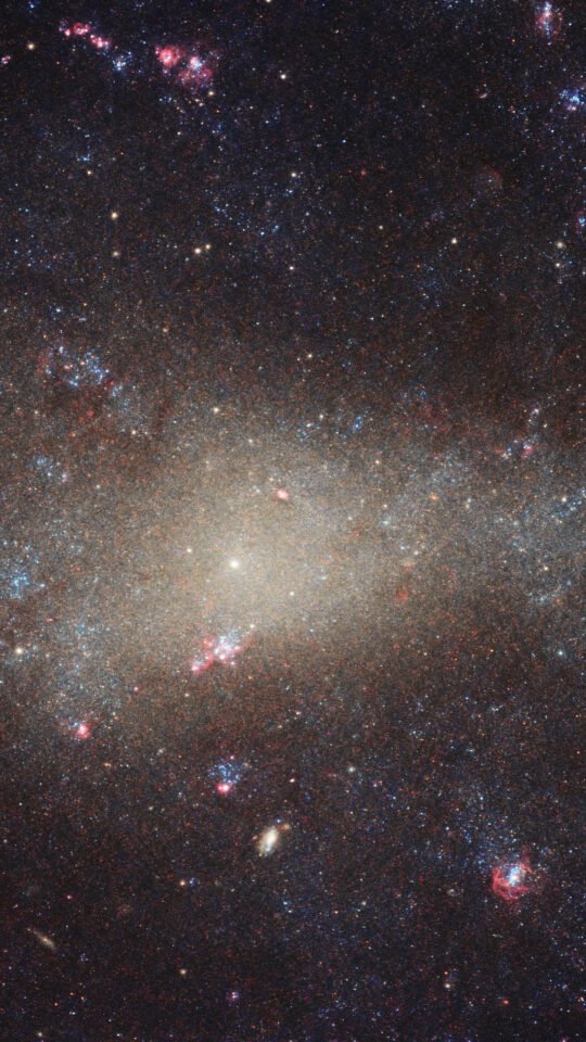 Spiral Hunting Dog Galaxy filled with stars and pink nebulae