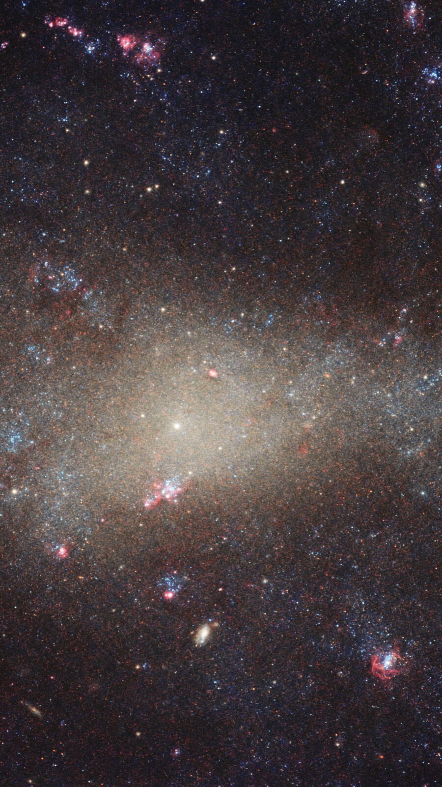 Spiral Hunting Dog Galaxy filled with stars and pink nebulae
